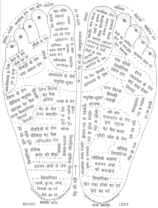 शरीर के एक्युप्रेशर केन्द्र